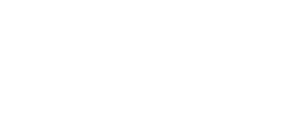Tyson Pressure Washing Logo White Footer